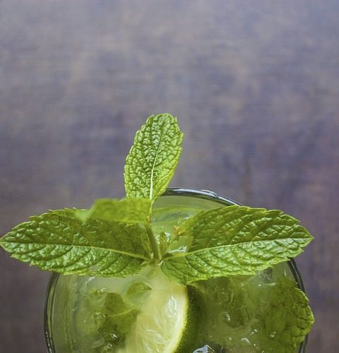 Mojito opskrift